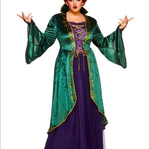 Hocus Pocus Winnie Costume